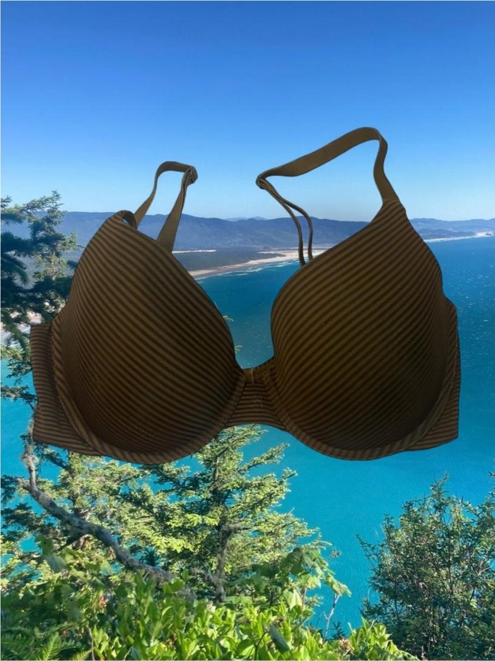 Victoria’s Secret Women's 34D Olive Green Striped Padded bra Top